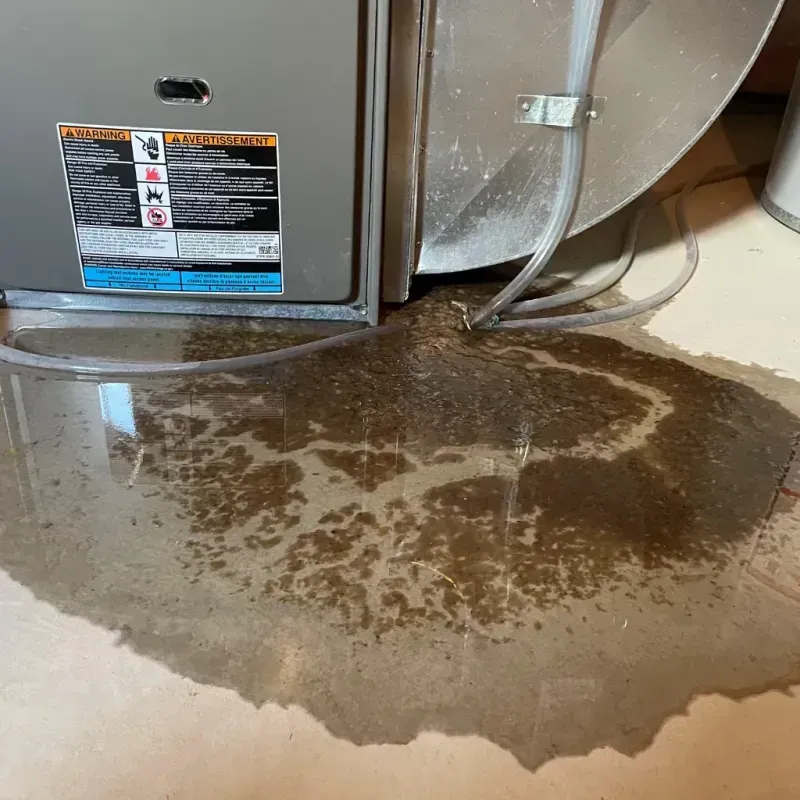 Appliance Leak Cleanup in Waynesville, OH